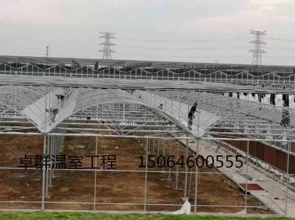 南京浦口區薄膜連棟溫室